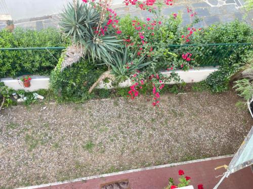 an overhead view of a garden with flowers and plants at Ars in Villa in Livorno