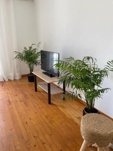 a room with two potted plants and a television on a table at Philoxenia Apartments 2 in Samos