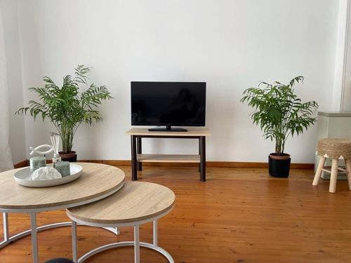 a living room with a tv and a table with two plants at Philoxenia Apartments 2 in Samos