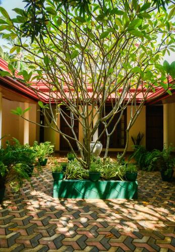 a tree in front of a building with a brick courtyard at EverGreen Resort Udawalawe in Udawalawe