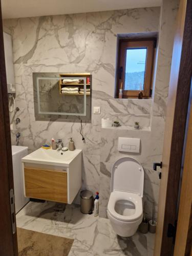 a bathroom with a white toilet and a sink at Apartman JAGODICA ZLATIBOR in Zlatibor