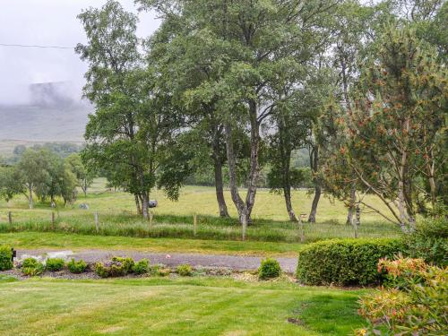 a path through a field with trees and grass at Druids Knowe in Tarfside
