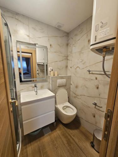 a bathroom with a toilet and a sink at Apartmani Nikic -Tivat in Tivat