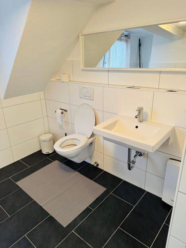a bathroom with a toilet and a sink at Apartment mit Balkon an der Mosel in Koblenz-Güls in Koblenz