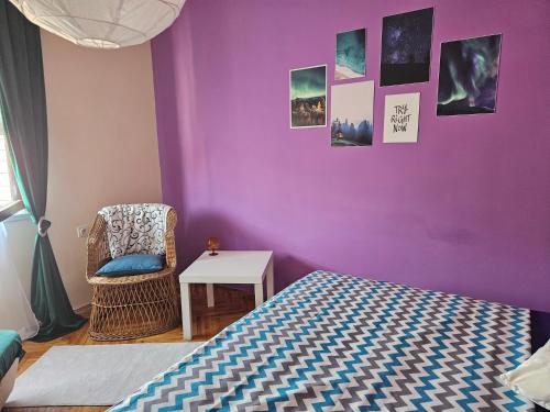 a bedroom with a purple wall with a bed and a chair at Apartment Dukat Vršac in Vršac