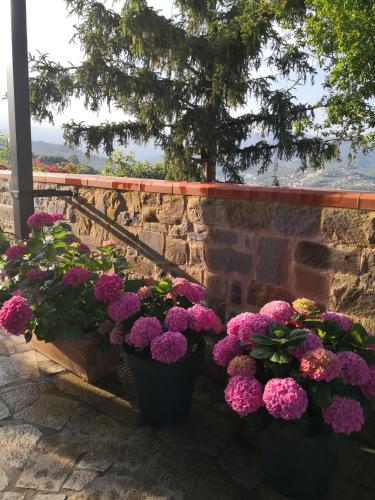 a bunch of flowers in pots on a wall at Casa Leonardo a Poggi in Imperia
