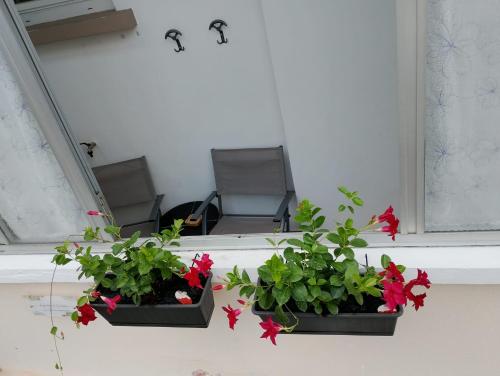 Φωτογραφία από το άλμπουμ του Appartamento Orchidea σε Castiglione Olona