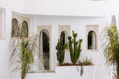 Giardino di Riad Dar Blanche & Spa