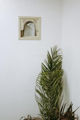 Foto dalla galleria di Riad Dar Blanche & Spa a Marrakech