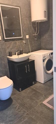a bathroom with a sink and a washing machine at Apartman Kristal, Vrnjačka Banja in Vrnjci