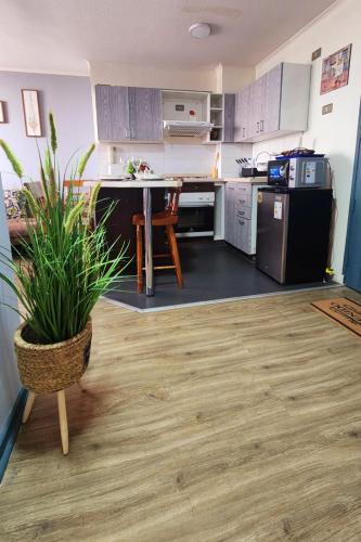 a kitchen with a table and a potted plant at Departamentos Amoblados Chileruca in Santiago