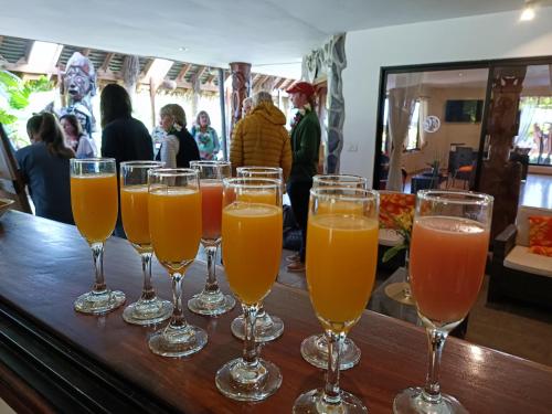 eine Reihe von Weingläsern auf einer Bar in der Unterkunft Hotel Gomero in Hanga Roa