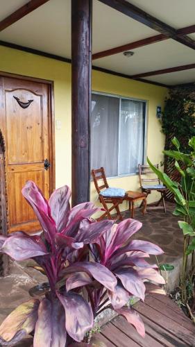 Galeriebild der Unterkunft Hotel Gomero in Hanga Roa