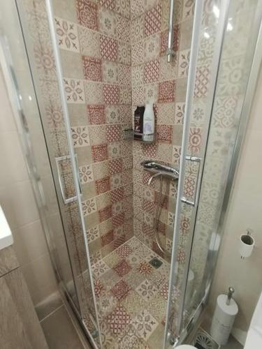 a bathroom with a shower with a glass door at Thanos Cozy Apartments in Skala Kallonis