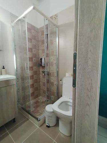 a bathroom with a toilet and a glass shower at Thanos Cozy Apartments in Skala Kallonis