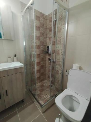 a bathroom with a shower and a toilet at Thanos Cozy Apartments in Skala Kallonis