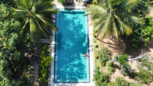 an overhead view of a swimming pool with palm trees at La Dolce Vita in Sigiriya