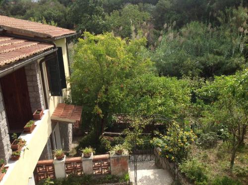 Κήπος έξω από το Casa Perez