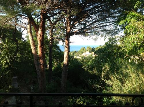 Φυσικό τοπίο κοντά σε αυτό το διαμέρισμα