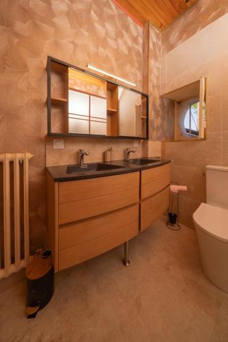 a bathroom with a sink and a mirror and a toilet at Jardin sur Loire in Blois