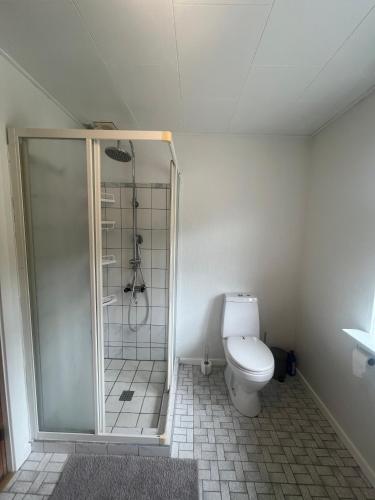 a bathroom with a shower and a toilet at Waves & Waterslides in Rødby