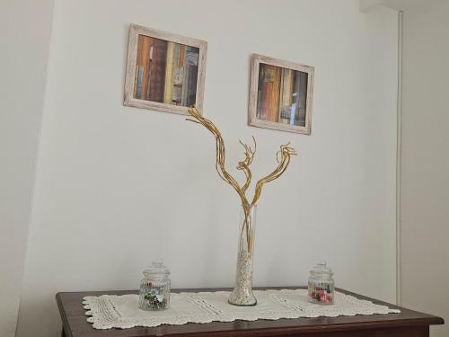 リオ・クアルトにあるUrban 360の木が入った花瓶が置かれたテーブル