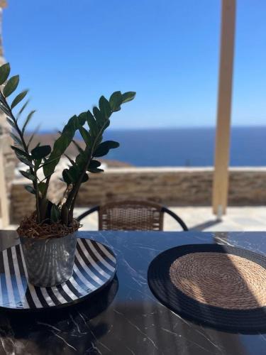 a table with a plate and a potted plant on it at Darsi suites Kythnos in Kithnos