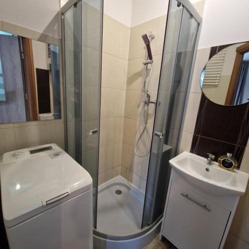 Koupelna v ubytování Apartament Anna
