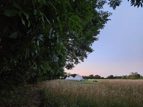 a white tent in the middle of a field at Readers Field Glamping in Great Sampford