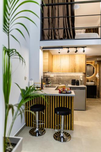 Studio Terra