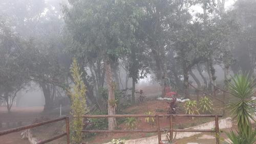 a foggy forest with trees and a wooden fence at Espaço Azul in Ibiúna