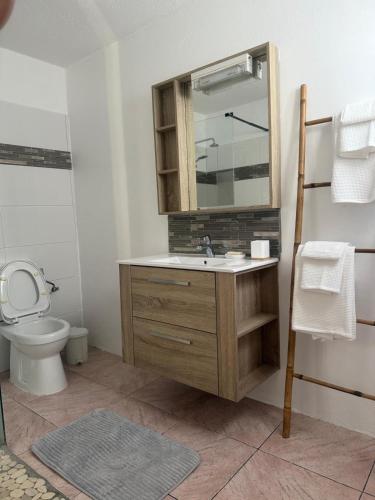 a bathroom with a sink and a toilet and a mirror at La citronnelle in Sainte-Anne