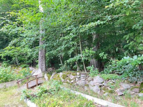 a wooden bench sitting in the middle of a forest at 6 person holiday home in HÖRBY in Hörby