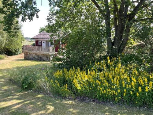 a garden with yellow flowers in front of a house at 4 person holiday home in SENOREN in Möcklö