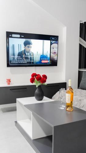 TV a/nebo společenská místnost v ubytování Apartments in Ohrid - IconicInn