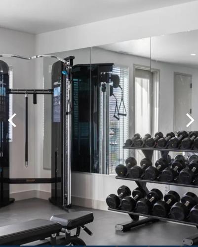 a gym with two shelves filled with weights at Beehive Getaway in Salt Lake City