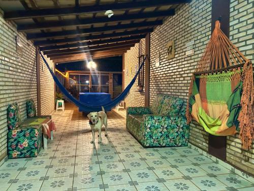 a dog standing in a room with two chairs and a hammock at Zizi Home Vibes in Chapada dos Guimarães