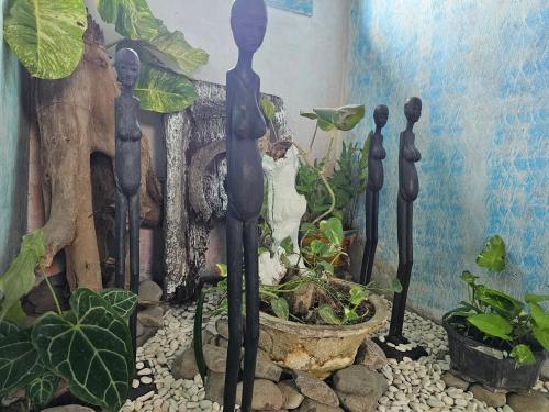 a garden with a black fence and a plant at Lovina Loca in Lovina