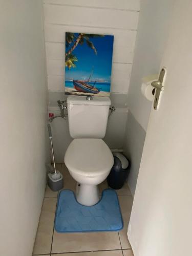 a bathroom with a toilet with a painting on the wall at Appartement confortable à Rivière Pilote 42 m² avec vue in Rivière-Pilote