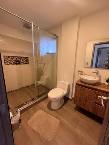 a bathroom with a shower and a toilet and a sink at Casa de Campo Moderna Ubaté - Sector La Laja in Ubaté