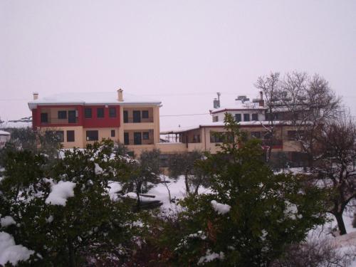 a house in the snow with trees in front of it at Evridiki in Vergina