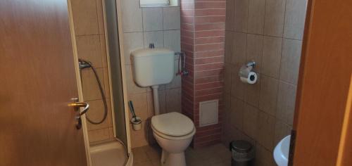 une petite salle de bain avec toilettes et douche dans l'établissement Free Parking Pension, à Oradea