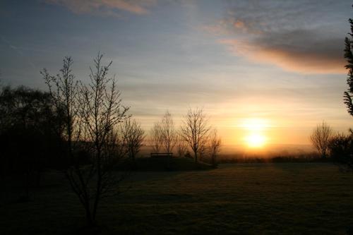 a sunset in a field with trees and a bench at Munden House in Sherborne