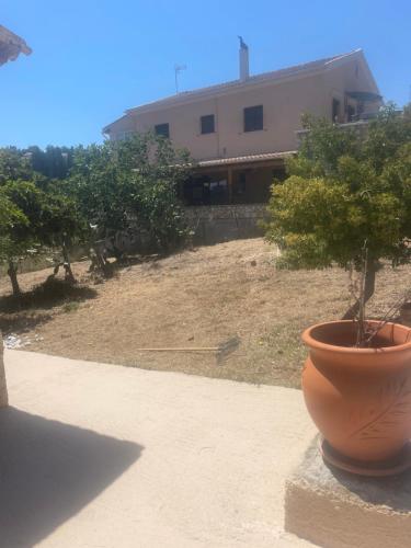 a potted tree in a pot sitting on a wall at Casa Bellina in Evropoúloi