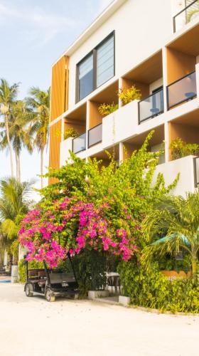 a building with pink flowers in front of it at Whale Shark Boutique in Fenfushi