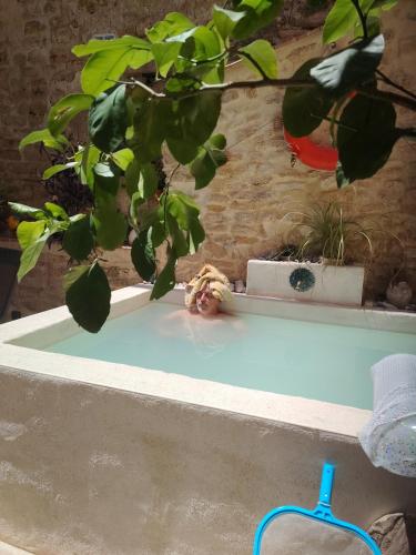 une plante posée sur une baignoire dans l'établissement Maison de village à deux pas de la rivière, à Remoulins