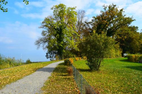 a path in a field with trees and a fence at Hotel Restaurant Sokrates in Güttingen