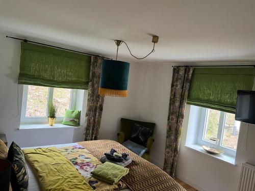 a bedroom with a bed and two windows at Seveniger Mühle in Sevenig