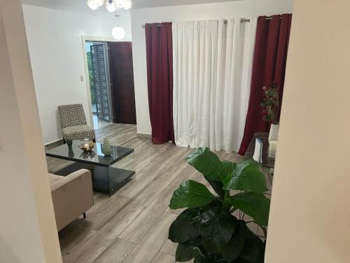 a living room with a couch and a table at Escapade tropicale in Santiago de los Caballeros