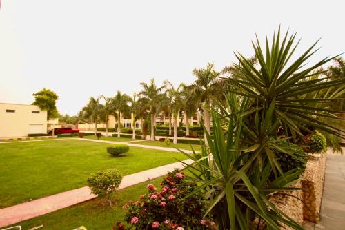 a view of a yard with palm trees at لاكجري صلالة Luxury salalah Villa in Salalah
